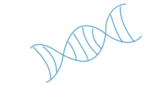 基因（DNA）